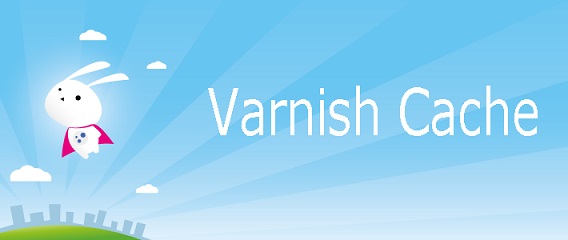 Varnish Cache Server